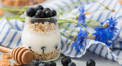 Haz tu propio yogur vegano estilo griego usando solo 3 ingredientes