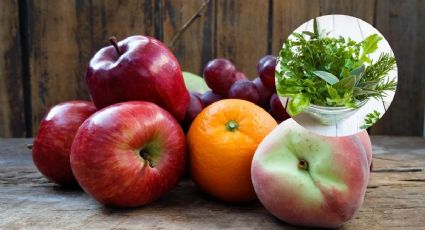 Esta es la hierba aromática que debes colocar en la cocina para eliminar mosquitos de la fruta