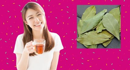 Té de laurel, así preparas la bebida caliente para mejorar la digestión