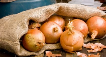 Paso a paso: Aprende a cultivar cebollas en maceta para preparar alimentos más saludables