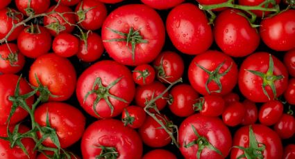 El truco con celo para que los tomates estén frescos por más tiempo