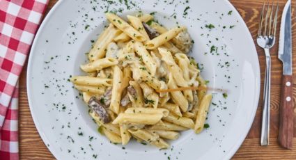 Pasta cremosa con queso, la receta más fácil de hacer para la cena