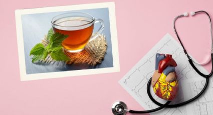 El té que debes añadir a tu dieta si lo que buscas es reducir tus niveles de colesterol
