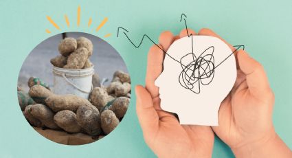 Fortalece la memoria y obtén energía con esté alimento parecido a la patata