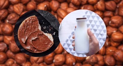 De una taza de avellana obtén dos recetas caseras y fáciles