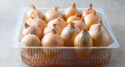 Trucazo para cultivar cebollas en casa