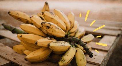 Las tres recetas fáciles y diferentes para aprovechar las bananas que tienes en el frutero