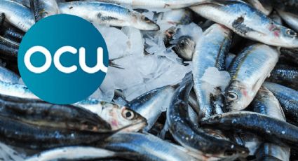 OCU revela cuáles son los pescados con más mercurio para el cuerpo