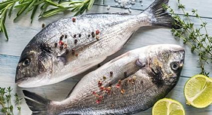 Los pescados con menos contenido de mercurio que debes añadir a tu dieta