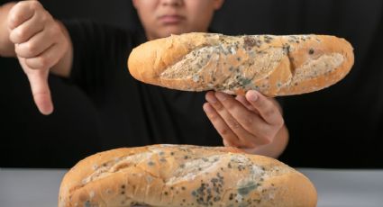 La razón por la que NUNCA deberías comer un pan con moho