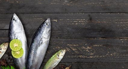 ¡Alerta! Estos son los pescados que la OCU recomienda NO CONSUMIR por sus niveles de mercurio