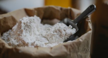 Harina de avena, el sustituto más saludable de harina