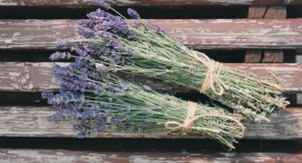 3 formas diferentes de usar lavanda en la cocina para olvidarte del insomnio para siempre