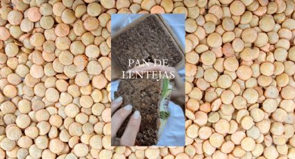 El pan de lentejas, la receta casera que mejorará el sabor de tus emparedados