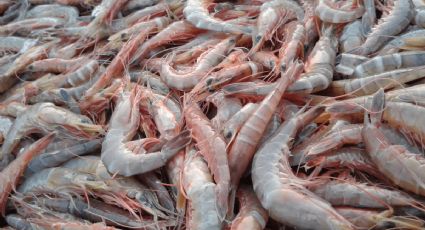 Qué es el hilo negro de las gambas y por qué deberías retirarlo siempre