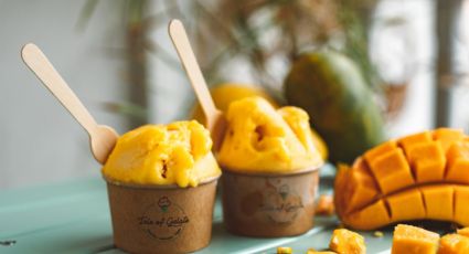 Postre esponjoso: la receta fácil para hacer mousse de mango