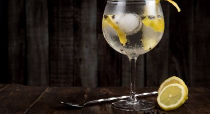 Gin tonic, el trago perfecto para esas tardes de primavera en casa