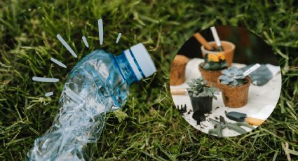 Día de reciclaje: 3 formas de aprovechar las botellas plásticas en el jardín