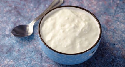 ¿Cuánto tiempo se dejan los granos de kéfir en la leche?