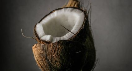 ¡Bienvenidos los cocos enteros! Estas son las mejores formas de abrir un coco en casa