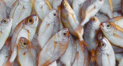 ¿El sazonador no se adhiere al pescado? Este es el secreto de cocina para lograr que quede perfecto