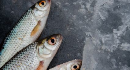 3 formas como puedes quitar las escamas a un pescado