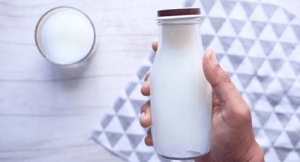 ¿Qué pasaría si tomamos leche cruda o sin pasteurizar?