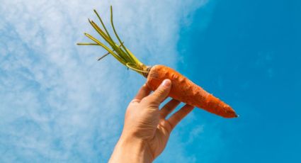 ¿La zanahoria te puede dejar la piel naranja? Esta es la realidad detrás de este mito