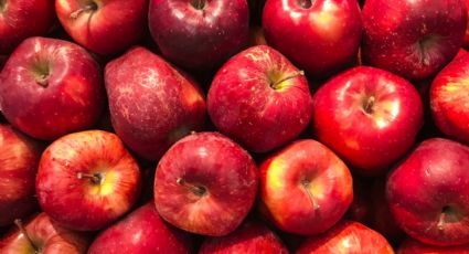 ¡Manténte saludable comiendo manzana! Las enfermedades que puedes prevenir consumiendo esta fruta