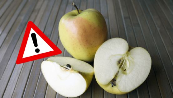 ¿Qué pasaría si comemos las semillas de la manzana? Esto debes tomar en cuenta