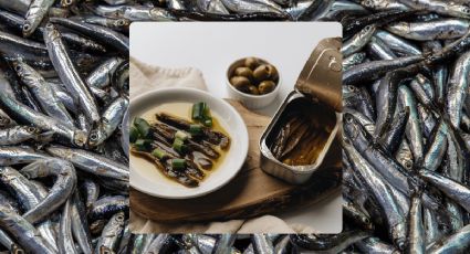 Anchoa, boquerón o bocarte, ¿cuáles son sus diferencias y cómo identificarlas?