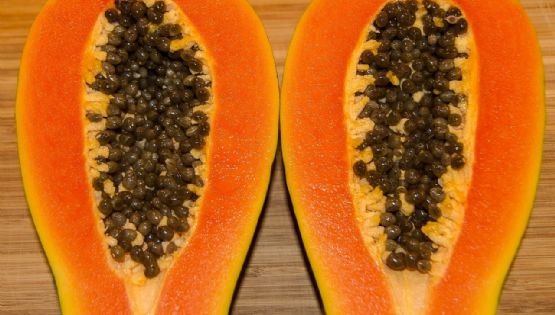 Los pros y contras de consumir las semillas de la papaya para absorber sus beneficios