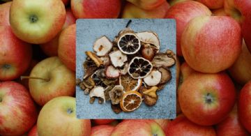 Comida para picoteo saludable: La receta para hacer unas manzanas deshidratadas