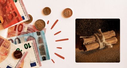 El ritual con la canela molida para atraer la abundancia y el dinero