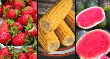 ¡Bienvenido Agosto! Las frutas y verduras de temporada que debes añadir a tus recetas