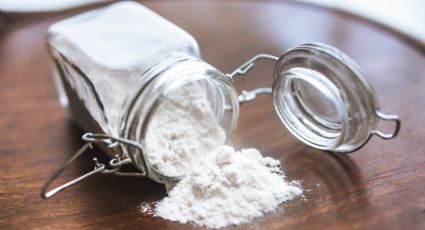 ¡Haz bizcochos perfectos! Estas son las mejores harinas para preparar bizcochos
