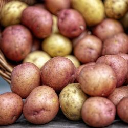 Beneficios de comer patatas todos los días y cómo ayuda al cuerpo