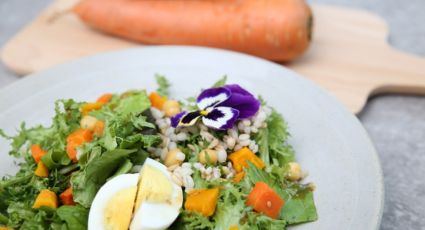 Ensalada de pasta con huevo duro, una receta sencilla y fría para los días calurosos