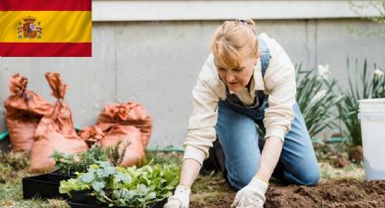 Cuáles son las mejores frutas y verduras que sembrar en agosto en España